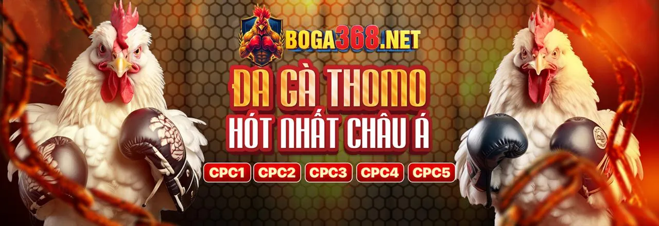 Sân đá gà chuyên nghiệp tại f1689 nhà cái